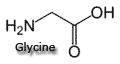 glycine