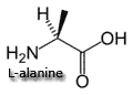 alanine