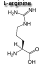 arginine