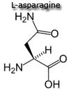 asparagine