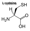 cysteine
