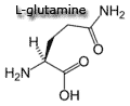glutamine