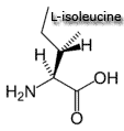 isoleucine