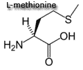 methionine