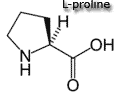 proline