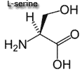 serine