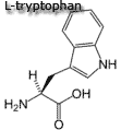 tryptophan