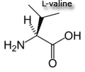 valine