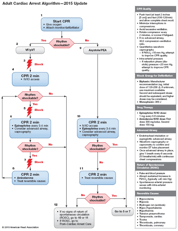 Adult Cardiac Arrest (VT/VT) and (PEA/asystole) 1 Acls