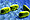 Bacteria Icon