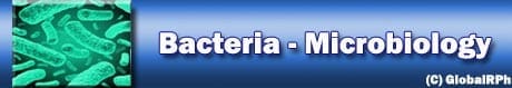 Microbiology Bacteria Bacterial Pathogens  Pathogenic Bacteria