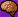 Brain
