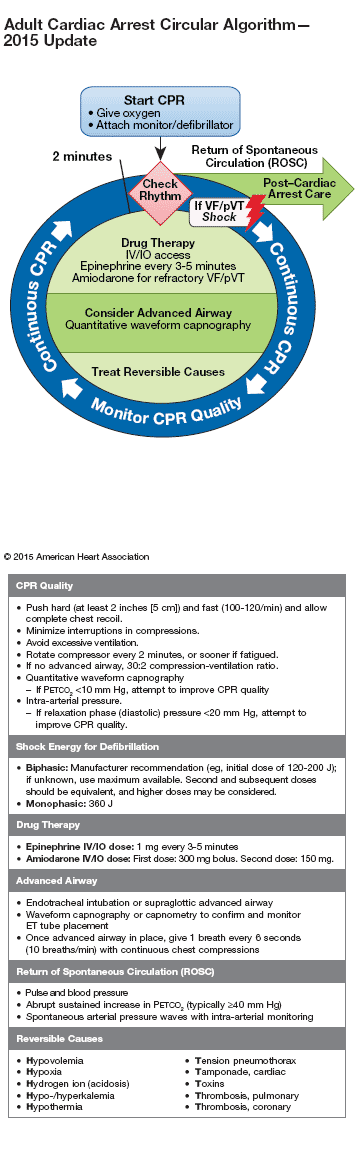 Adult Cardiac Arrest (VT/VT) and (PEA/asystole) 2 Circular