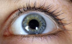 eye