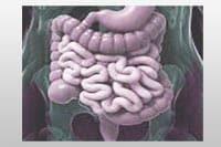 ibs