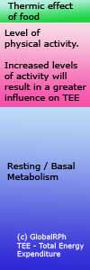 total energy expenditure