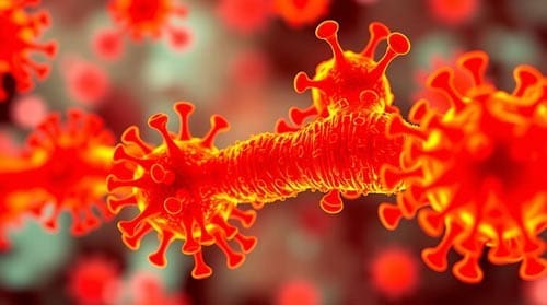 Breaking Barriers: CAR-T Therapy Shows Promise Against Solid Tumors 2 Car-T Therapy And Cancer Therapy