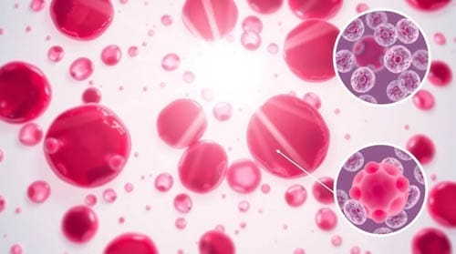 Hidden First Signs of Leukemia That Doctors Often Miss in Primary Care 2 Hidden First Signs Of Leukemia