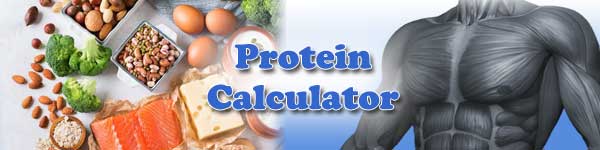 Protein requirements calculator