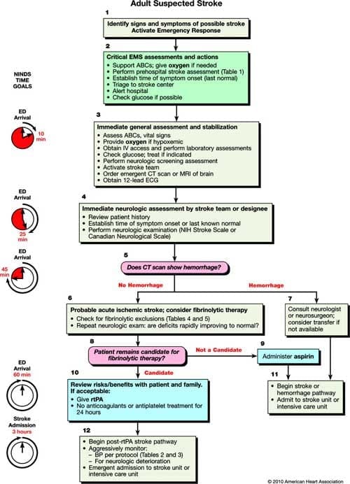 Stroke Algorithm