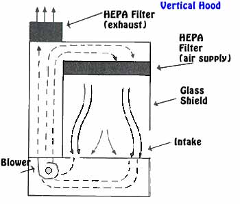 Verticalhood