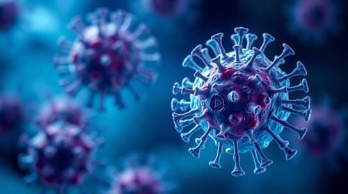 Car-T Therapy And Cancer Therapy