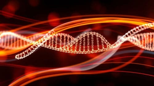 Jak2, Calr, And Mpl Mutations